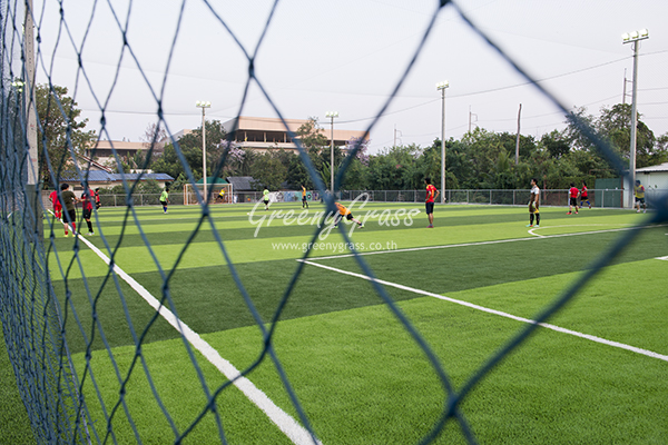 สนามฟุตบอลหญ้าเทียม