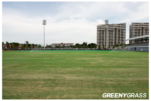 สนามฟุตบอลหญ้าจริง ระบบหญ้าเทียมผสม
