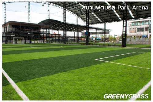 สนามฟุตบอล Park Arena