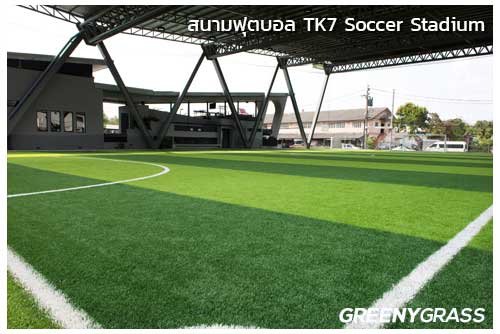 สนามฟุตบอล TK7 Soccer Stadium