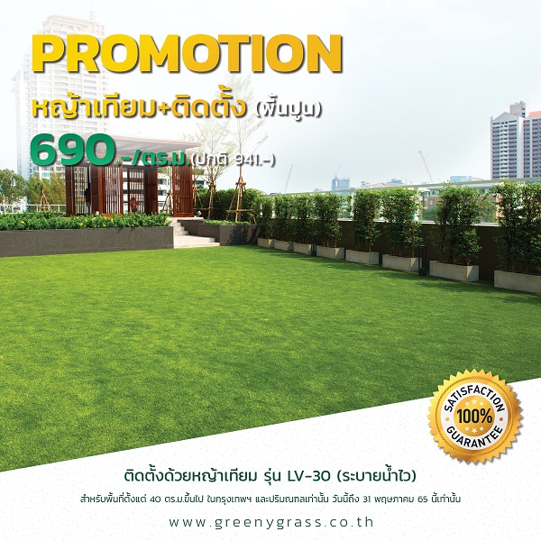 โปรโมชั่นหญ้าเทียม