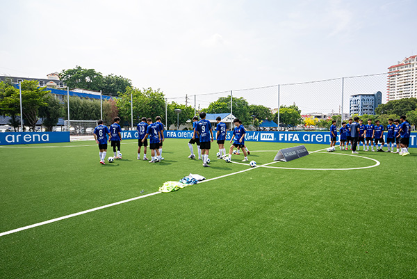 fifa arena
