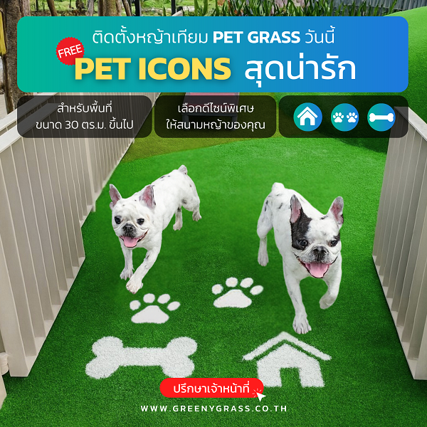 pet icons แจกฟรี