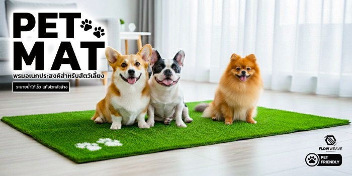 pet mat พรมอเนกประสงค์สำหรับสัตว์เลี้ยง