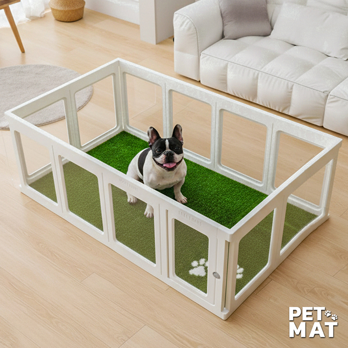 pet mat พรมสัตว์เลี้ยง