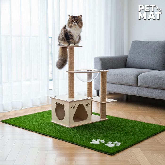 pet mat พรมสัตว์เลี้ยง