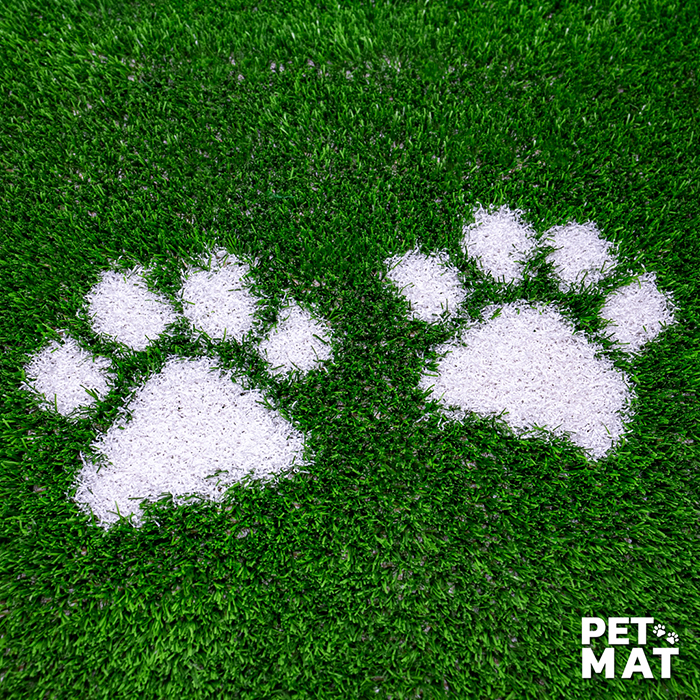 pet mat พรมสัตว์เลี้ยง