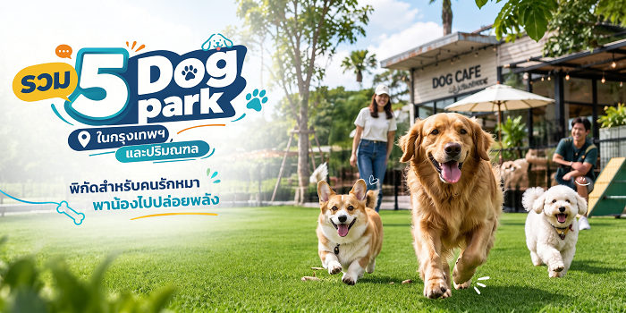 รวม 5 Dog Park และคาเฟ่น้องหมาในกรุงเทพฯ และสมุทรปราการ