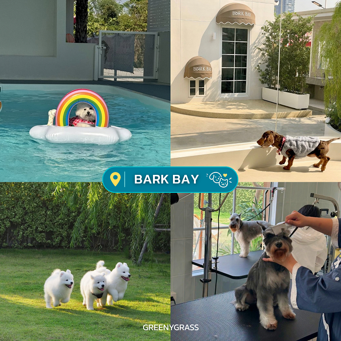 BARK BAY พื้นที่พักผ่อนสำหรับสัตว์เลี้ยงย่านบางแก้ว–บางพลี