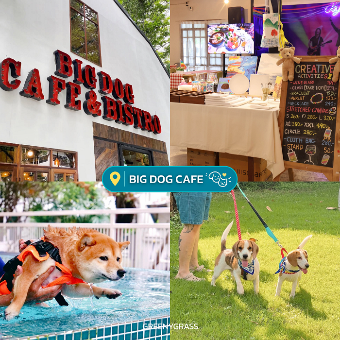 BIG DOG CAFE คาเฟ่น้องหมาย่านลาดพร้าว 71