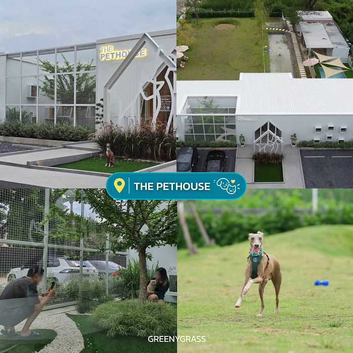THE PETHOUSE คอมมูนิตี้สำหรับสัตว์เลี้ยงย่านกรุงเทพกรีฑา