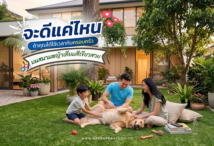 ครอบครัวใช้เวลาร่วมกันบนพื้นที่สีเขียว