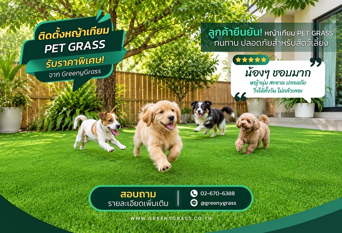 รีวิว PET GRASS จากผู้ใช้จริง