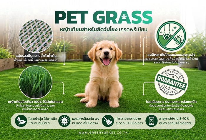 หญ้าเทียม PET GRASS สำหรับสัตว์เลี้ยง