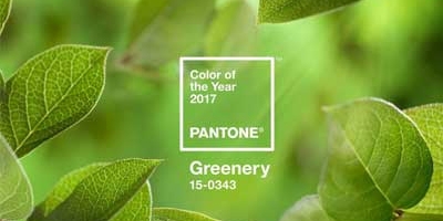 Greenery สีแห่งปี 2017