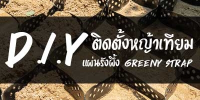 แผ่นรังผึ้ง greeny strap - D.I.Y ติดตั้งหญ้าเทียมเองที่บ้านด้วย