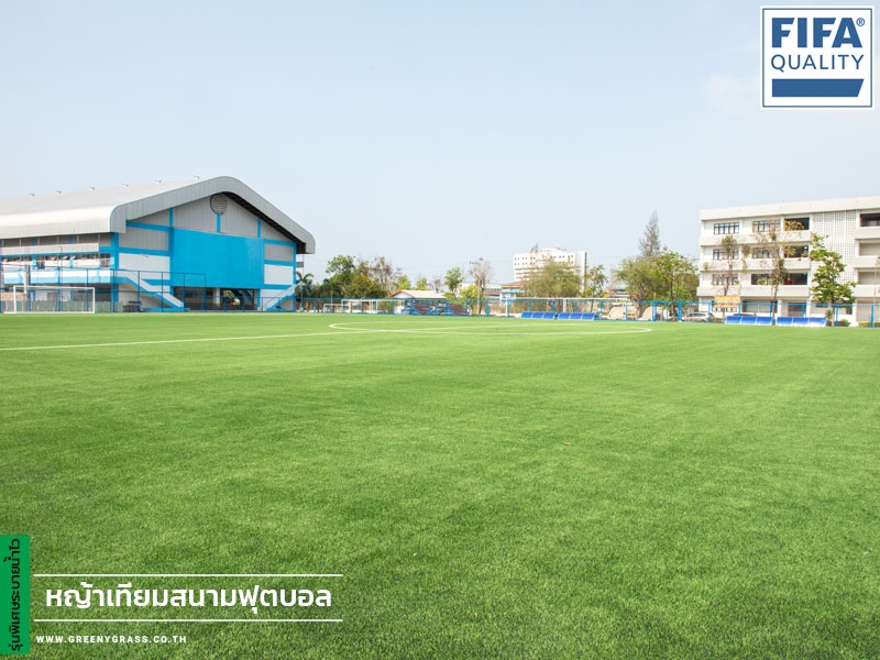 สนามฟุตบอล โรงเรียนกีฬาจังหวัดชลบุรี (FIFA QUALITY)