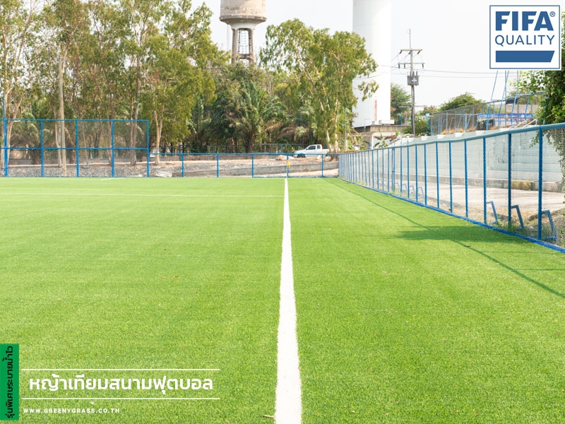 สนามฟุตบอล โรงเรียนกีฬาจังหวัดชลบุรี (FIFA QUALITY)