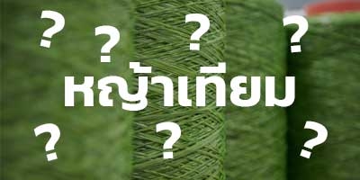 หญ้าปลอม หรือหญ้าเทียม คืออะไร