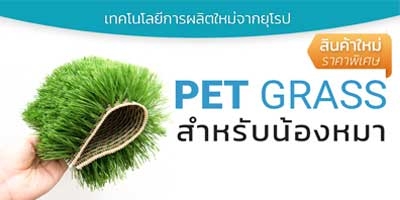 PET GRASS หญ้าเทียมสำหรับสุนัข