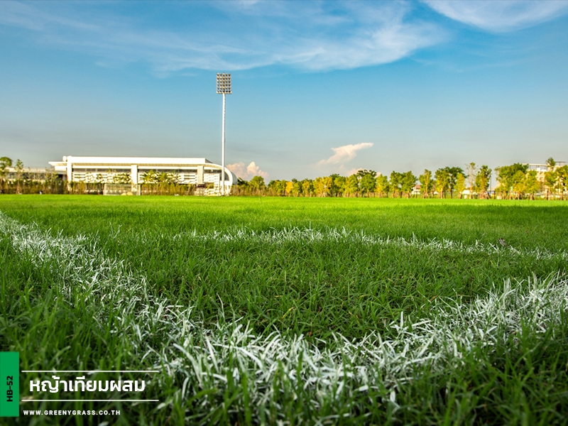 สนามฟุตบอลหญ้าเทียมผสม VERSO International School
