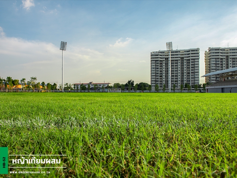 สนามฟุตบอลหญ้าเทียมผสม VERSO International School