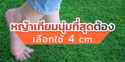 อยากมีสนามหญ้าสวยและนุ่ม เลือกใช้ 4 cm.