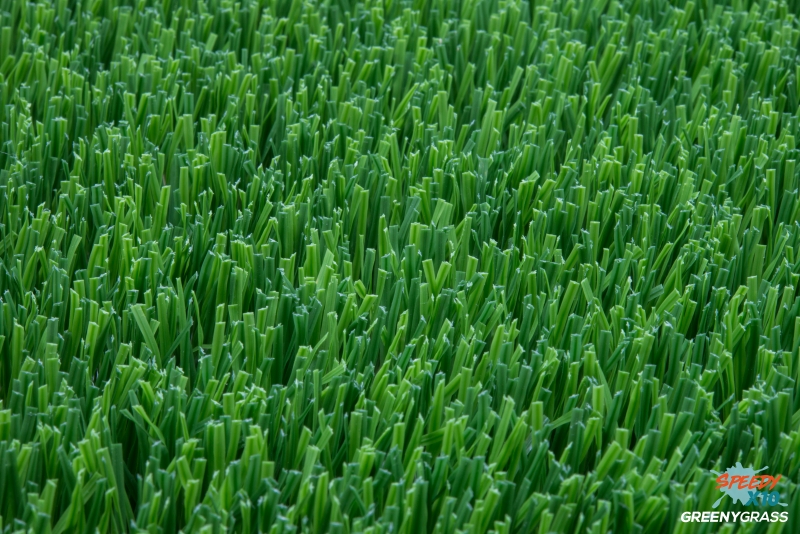 Premium Artificial Grass for Landscape 2 cm. SpeedyX10 (PET GRASS)