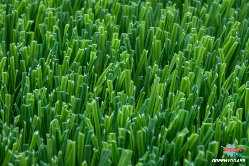 Premium Artificial Grass for Landscape 2 cm. SpeedyX10 (PET GRASS)