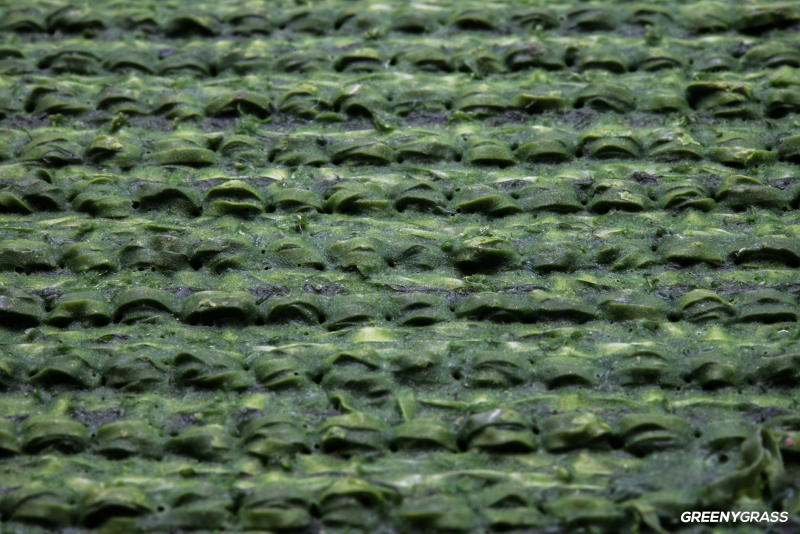 หญ้าเทียมอเนกประสงค์ รุ่น M-145 สีเขียว ใบยาว 1 cm. (พรีเมียม)