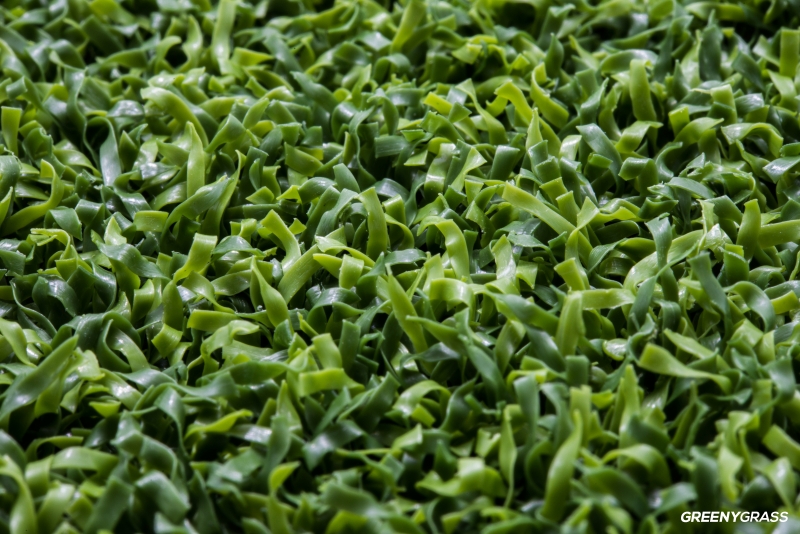 Premium Artificial Grass for Multipurpose 1 cm. (M-145)