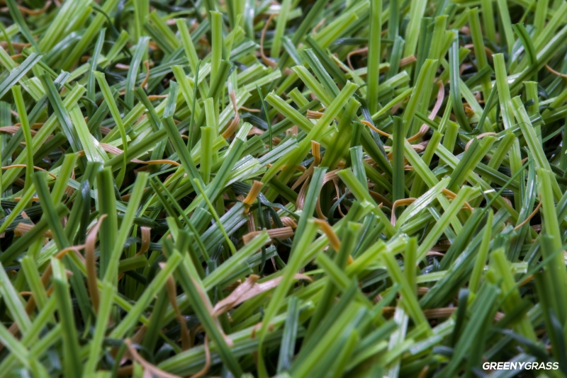 หญ้าเทียมจัดสวน รุ่น GLX-240B ใบยาว 2 ซม. (พรีเมียม)