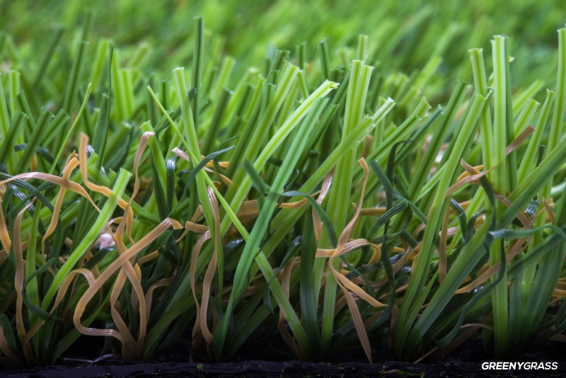 Premium Artificial Grass for Golf 2 cm. (GLX-240B)