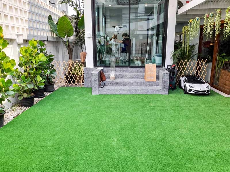 โรงแรมสุนัข Holiday House Dogs Social Club & Hotel