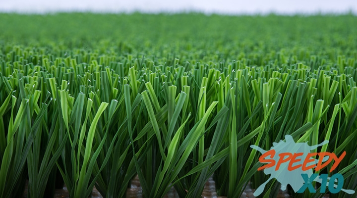 PET GRASS