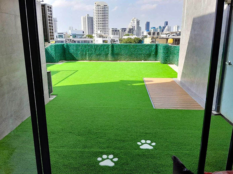 สนามหญ้า โรงพยาบาลสัตว์แฮปปี้เพ็ท