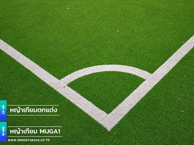 สนามอเนกประสงค์ โรงเรียนนานาชาติสิงคโปร์ธนบุรี สนามอเนกประสงค์ โรงเรียนนานาชาติสิงคโปร์ธนบุรี