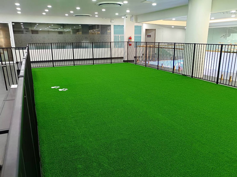 โซนสนามหญ้า โรงพยาบาลสัตว์แฮปปี้เพ็ท สาขารัชดา