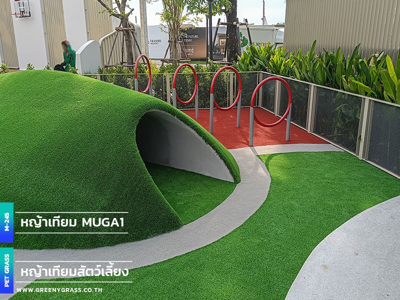 สนามหญ้าสำหรับสุนัข GUTE Sukhumvit 76 สนามหญ้าสำหรับสุนัข GUTE Sukhumvit 76