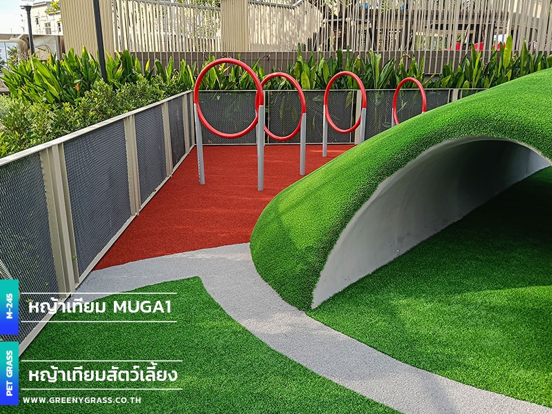 สนามหญ้าสำหรับสุนัข GUTE Sukhumvit 76 สนามหญ้าสำหรับสุนัข GUTE Sukhumvit 76