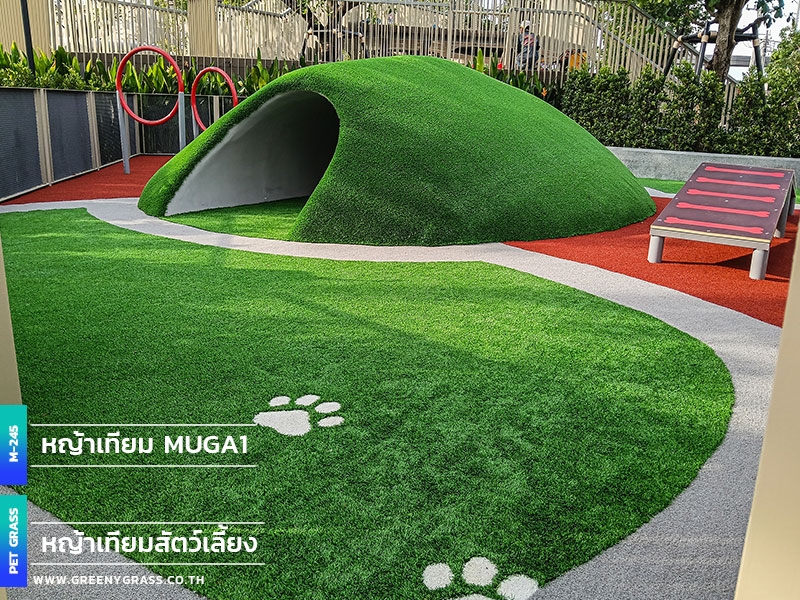 สนามหญ้าสำหรับสุนัข GUTE Sukhumvit 76 สนามหญ้าสำหรับสุนัข GUTE Sukhumvit 76