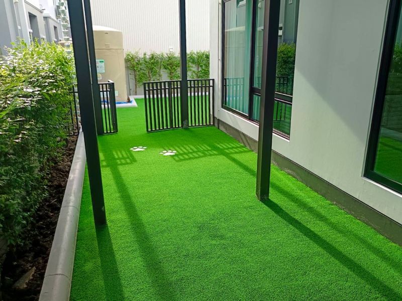 สนามหญ้า บุราสิริ ปัญญาอินทรา