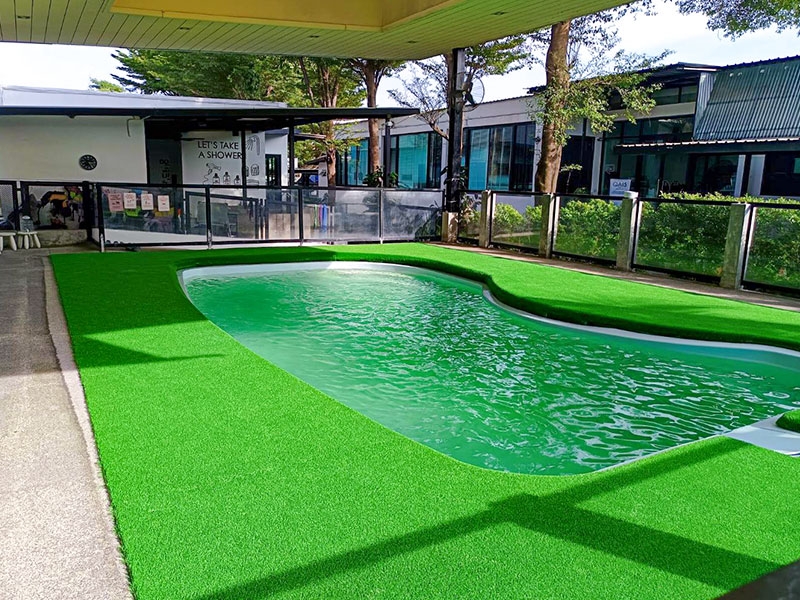 สนามหญ้าสัตว์เลี้ยง PETS' VILLE | Bangkok