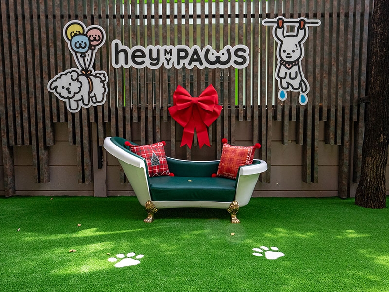 สนามหญ้า Hey My Paws - Pet Cafe