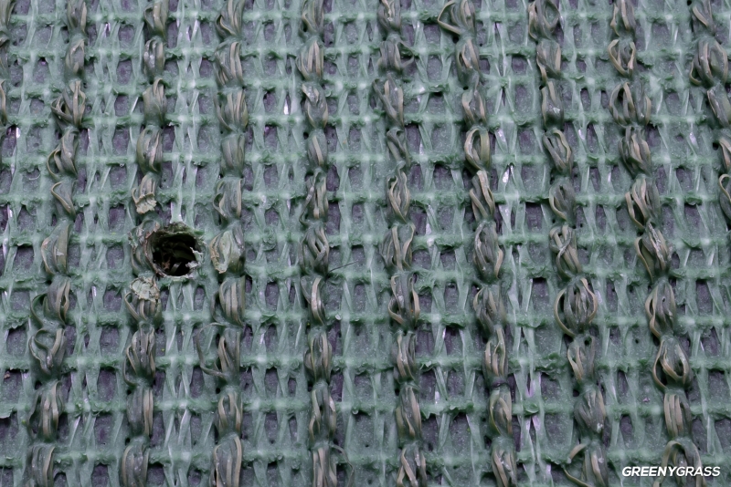 หญ้าเทียมจัดสวน รุ่น V32 ใบยาว 3 ซม.