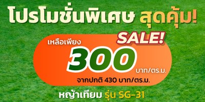 หญ้าเทียม SG-31 โปรโมชั่นพิเศษ สุดคุ้ม!