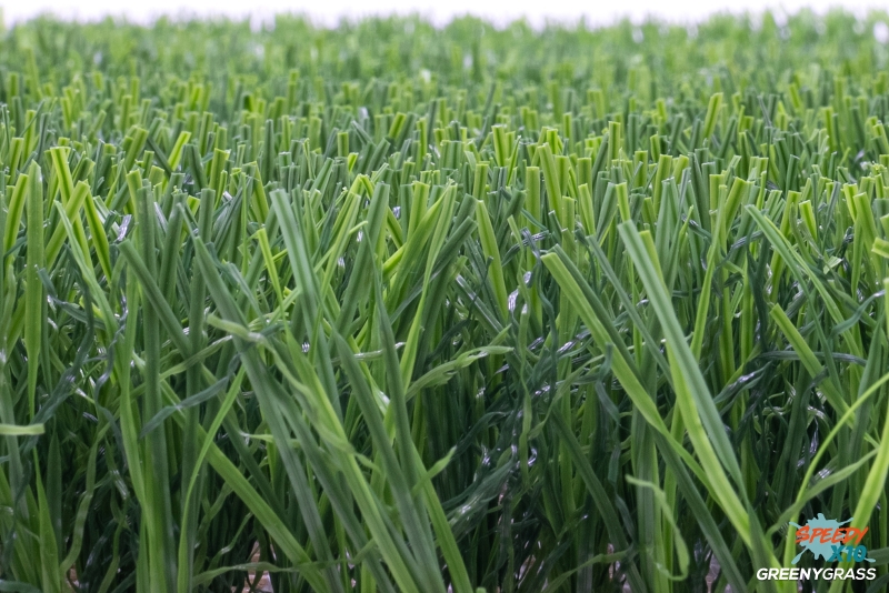 Premium Artificial Grass for Landscape 3 cm. SpeedyX10 (LV-33)