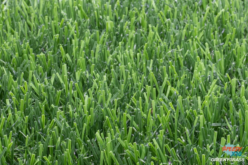 Premium Artificial Grass for Landscape 3 cm. SpeedyX10 (LV-33)