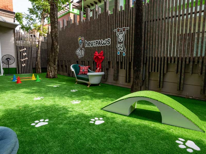 สนามหญ้า Hey My Paws - Pet Cafe