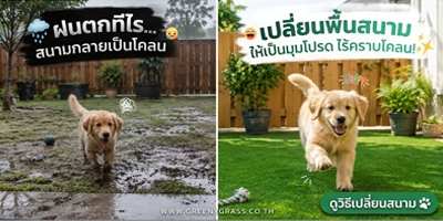 จบปัญหาอุ้งเท้าเลอะโคลน! สนามน้องหมาที่พร้อมวิ่งเล่นหลังฝนตก